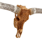 Carved Longhorn Skull // Antique Phoenix