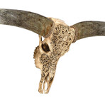 Carved Longhorn Skull // XL Horns // Golden Mandala