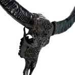 Carved Buffalo Skull // Black From Hell