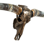 Longhorn Skull // XL Horns // Antique Bronze Storm // Metallic Finish V.1