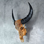 Carved Buffalo Skull // Antique From Hell