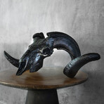 Carved Ram Skull // Black Boho
