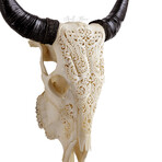 Carved Cow Skull // White Titan