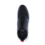 Picabia Shoes // Black (US: 11)