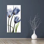 Three Blue Tulips