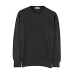 Sean Slim-Fit Knit Crewneck Pullover Sweater // Anthracite (Small)