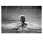 Marilyn Monroe // Limited Edition Signed Print V (30"H x 40"W)