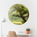 Nature Mountain Sunrise Landscape Tree (16"Ø)