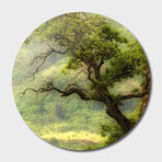 Nature Mountain Sunrise Landscape Tree (16"Ø)