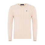 Ethan V-Neck Sweater // Beige Melange (XL)