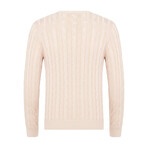 Ethan V-Neck Sweater // Beige Melange (XL)