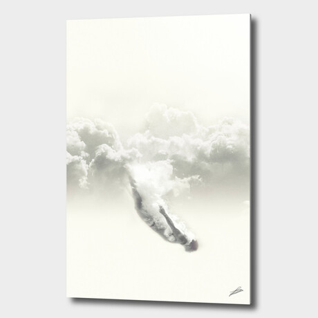Sky Diver (16"W x 24"H x 1.5"D // Stretched Canvas)