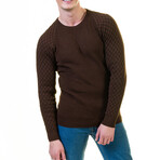 0231 Tailor Fit Crewneck Sweater // Brown (L)