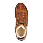 P.daCortona Men // Cognac (EU Size 44)