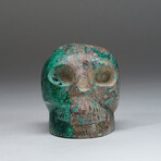 Polished Chrysocolla Skull Carving // Small