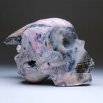 Genuine Large Polished Pink Opal Skull // 7.1 lbs