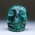 Medium Polished Chrysocolla Skull Carving v.2