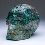 Large Polished Chrysocolla Skull Carving v.1