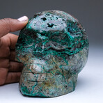 Large Polished Chrysocolla Skull Carving v.1