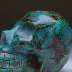 Genuine Polished Chrysocolla Skull Carving V2