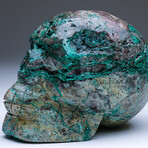 Large Polished Chrysocolla Skull Carving v.1