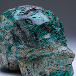 Large Polished Chrysocolla Skull Carving v.1
