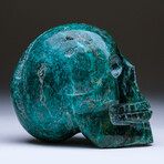 Medium Polished Chrysocolla Skull Carving v.2