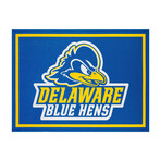 University of Delaware (20"L x 30"W)