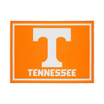 Tennessee (20"L x 30"W)