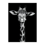 Giraffe's Sweet Face (24"H x 16"W x 1.8"D)