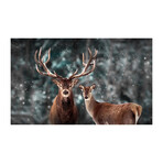 Staring Deers (16"H x 24"W x 1.8"D)