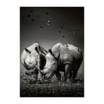 Rhinos and Birds (24"H x 16"W x 1.8"D)