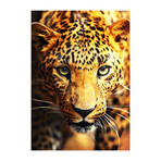 Cheetah (24"H x 16"W x 1.8"D)