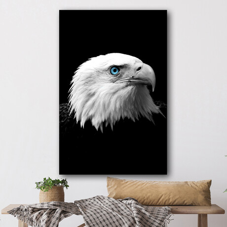 Eagle's Eye (24"H x 16"W x 1.8"D)