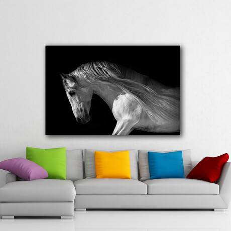 Posing Horse (16"H x 24"W x 1.8"D)
