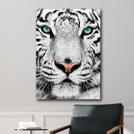 White Tiger Staring (24"H x 16"W x 1.8"D)