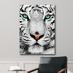 White Tiger Staring (24"H x 16"W x 1.8"D)