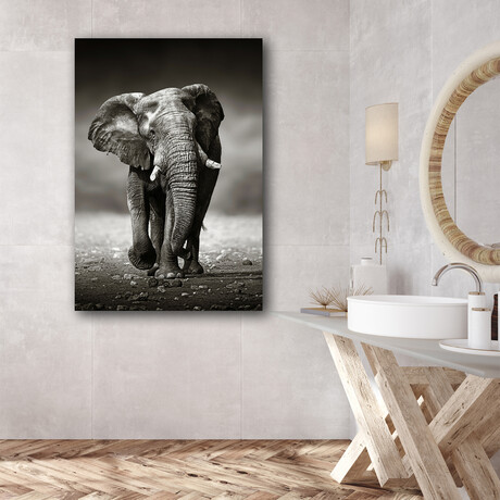 Elephants (24"H x 16"W x 1.8"D)