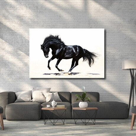 Black Stallion (16"H x 24"W x 1.8"D)
