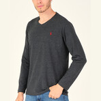 Jerald V-Neck Sweater // Anthracite (S)
