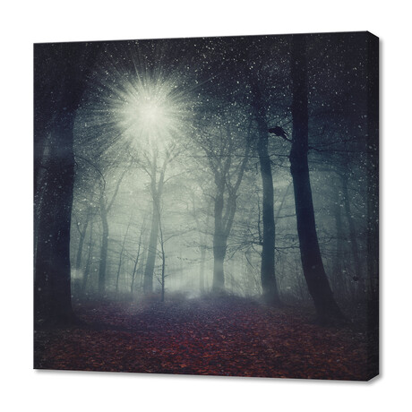 Enchanted Forest (12"H x 12"W x 0.75"D)
