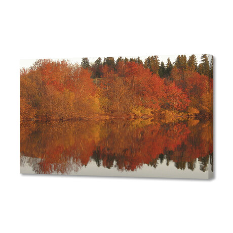 Lake Reflection in Autumn (8"H x 12"W x 0.75"D)