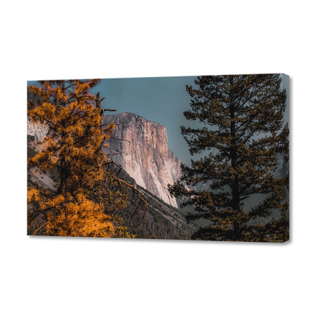 Autumn Tree with Mountain View at Yosemite (8"H x 12"W x 0.75"D)