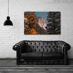 Autumn Tree with Mountain View at Yosemite (8"H x 12"W x 0.75"D)