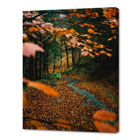 Autumn in Devils Glen, Wicklow, Ireland IV (10"H x 8"W x 0.75"D)
