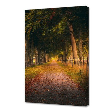 Autumn Country Road (12"H x 8"W x 0.75"D)