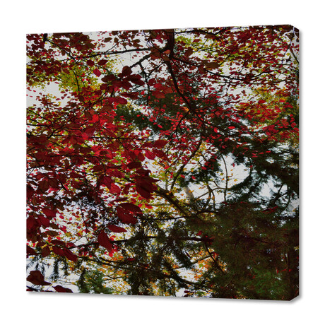Autumn Leaves Abstract (12"H x 12"W x 0.75"D)
