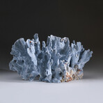 Genuine Natural Blue Ridge Coral