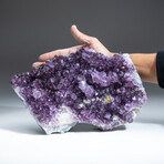 Genuine Amethyst Crystal Cluster