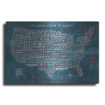 US City Map on Wood Blue (12"H x 16"W x 0.13"D)